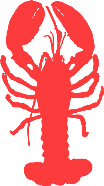 outer-banks-best-lobster